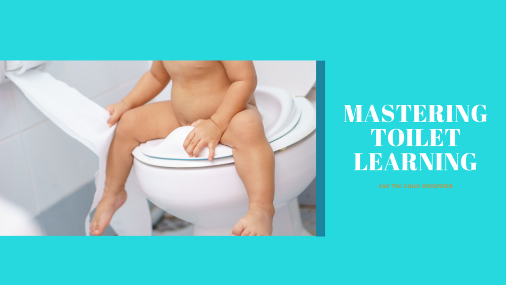 Read more about the article Mastering Toilet Learning