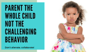 Read more about the article Parent the Whole Child, Not the Challenging Behavior