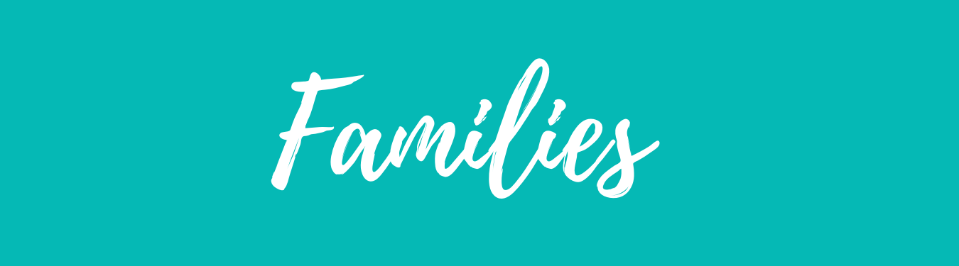 Teal banner with white lettering of Families