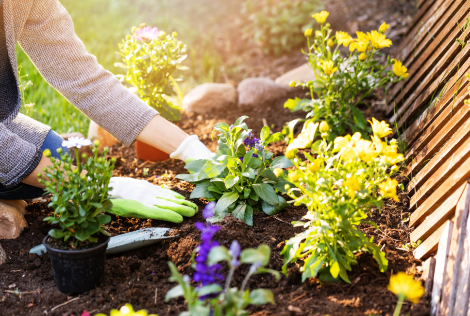 Read more about the article You are the Gardener